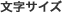 文字サイズ