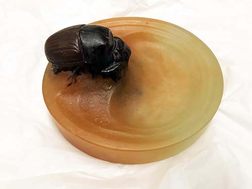 復活 象徴 虫 エジプト 古代 の