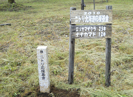 (6) Kamikawa