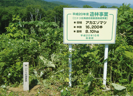 (1) Wassamu