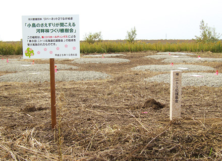 (3) Naganuma