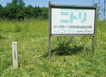 (4) Kamifurano