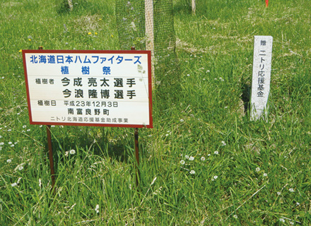 (5) Minamifurano