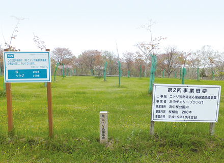 (9) Hamanaka
