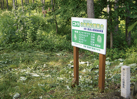 (10) Shikaoi
