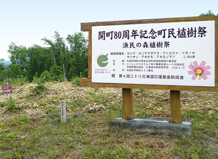 (11) Taiki