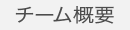 チーム概要