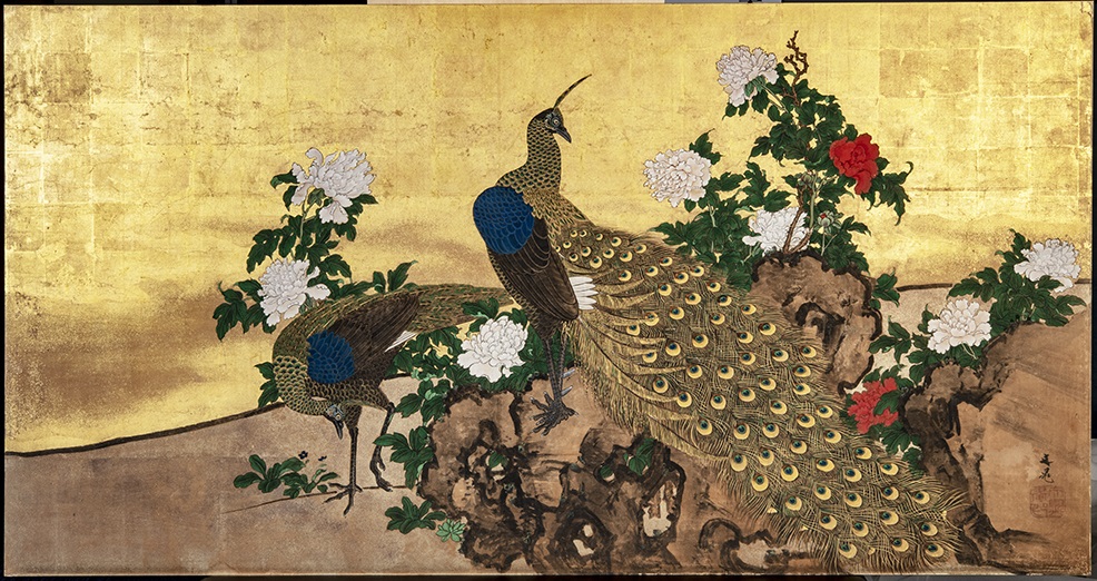 似鳥美術館 新収蔵作品のご紹介② 谷 文晁《孔雀図》 | 小樽芸術村