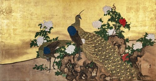 今週の1点】谷文晁《孔雀図》 | 小樽芸術村